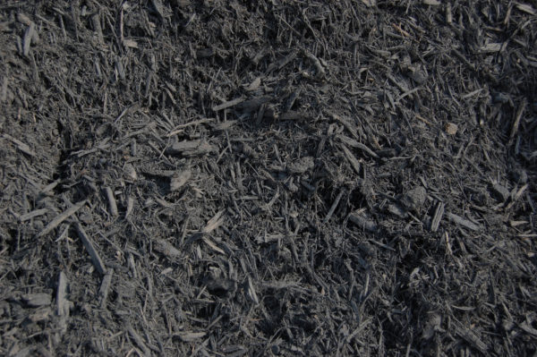 Black Mulch